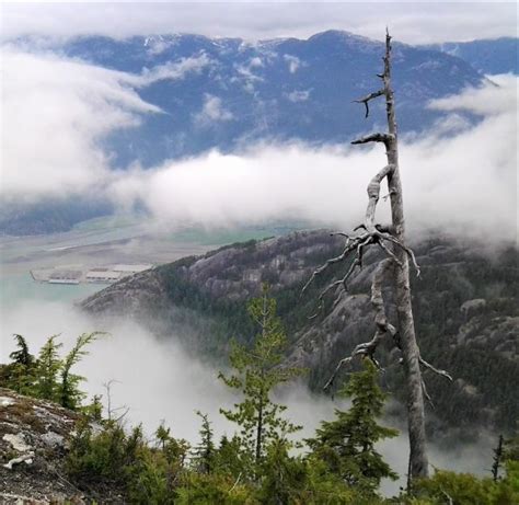 Panorama Trail Photo | 2019 Hiking Photo Contest | Vancouver Trails