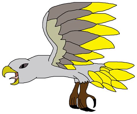 Haast's Eagle | Dinosaur Pedia Wikia | FANDOM powered by Wikia