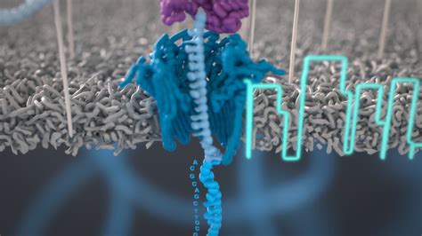 Nanoporen-Sequenzierung und DNA-Barcoding-Methode geben Hoffnung auf personalisierte Medizin