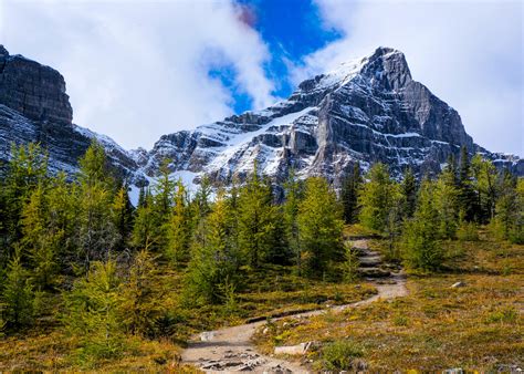 10 Best Lake Louise Hikes to Cross off Your List - The Banff Blog