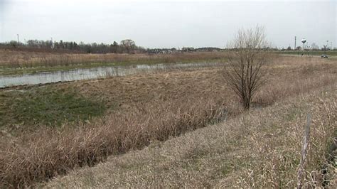 Village of Mukwonago looks to rehome problem beavers backing up ...