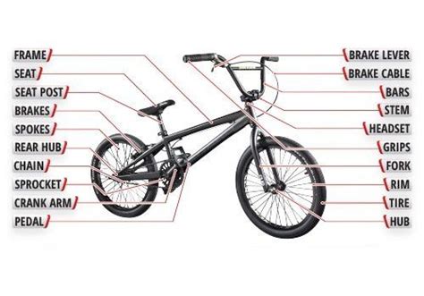 BMX Bikes – Everything You Need To Know | Bmx bike parts, Bmx bikes, Bmx