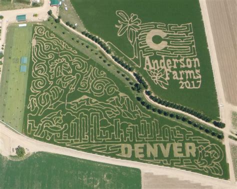 Corn Maze - Anderson FarmsAnderson Farms