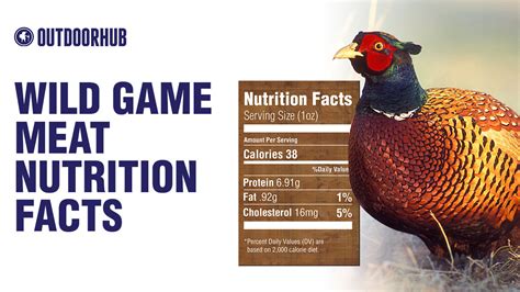 Video: Examining the Nutritional Content of Wild Game Meat | OutdoorHub