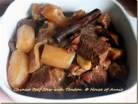 Chinese Beef and Tendon Stew