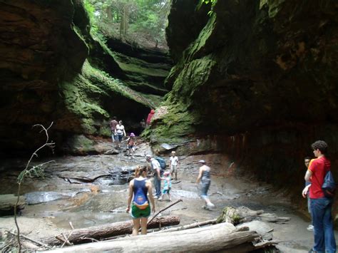 Art of 'Patience': Hiking at Turkey Run State Park....