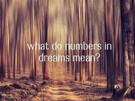 Interpretation of Dream Numbers and Their Implications