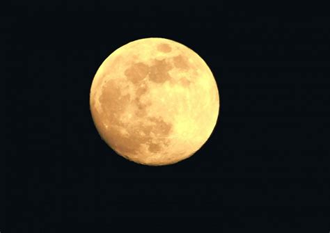 Free Images : light, atmosphere, night sky, full moon, moonlight, circle, big moon, astronomical ...