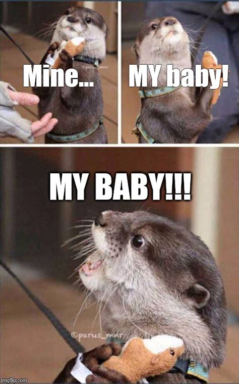 Otter Meme I Made