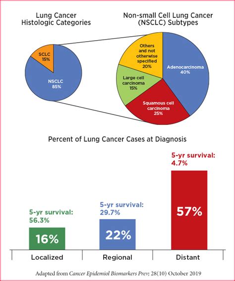 Lung Cancer Treatment Statistics