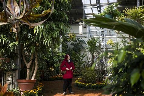 Dow Gardens butterfly house open to visitors - March 7, 2019 - Midland Daily News