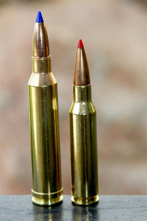 7mm-08 Remington vs. 7x57 Mauser & 7mm Remington Magnum — Ron Spomer Outdoors