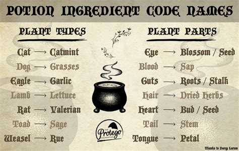 The Meaning Behind Potion Ingredient Names - THE PROTEGO FOUNDATION