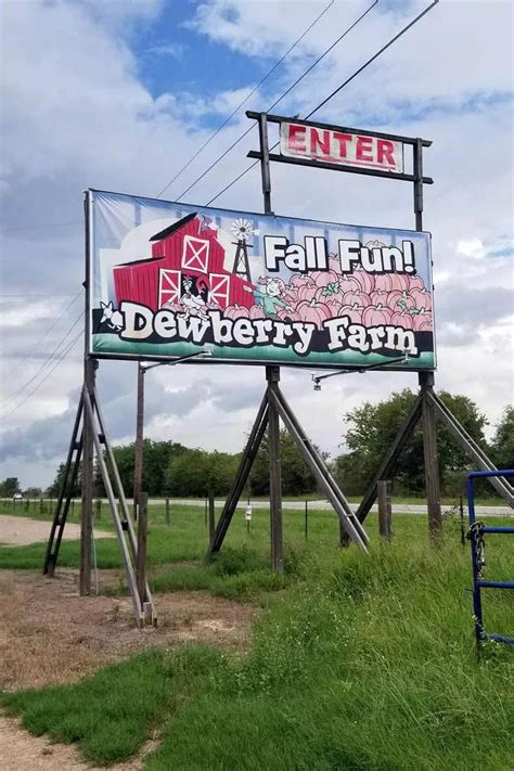 Dewberry Farm: Fall Farm Fun! | Greater Houston Moms | Farm fun, Fall family fun, Fun