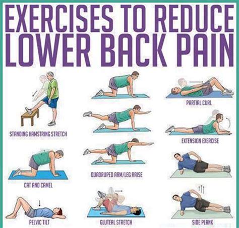 Exercises to reduce lower back pain. | Back Pain, Spine & Scoliosis