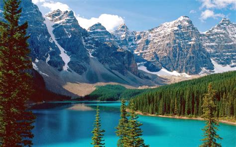 Nature of Life: Mountains Canada Alberta