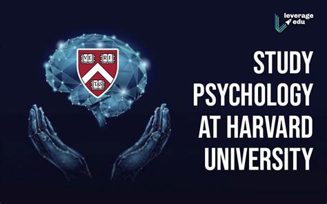 Psychology at Harvard University: Courses, Requirements, & Fees ...