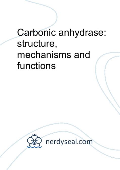 Carbonic anhydrase: structure, mechanisms and functions - 1945 Words - NerdySeal