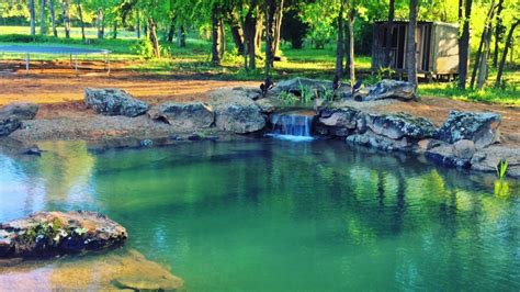 Backyard Swim Pond That Stays Crystal Clear Water In DFW, Texas - YouTube