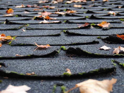 Old Asphalt Shingles Free Stock Photo - Public Domain Pictures