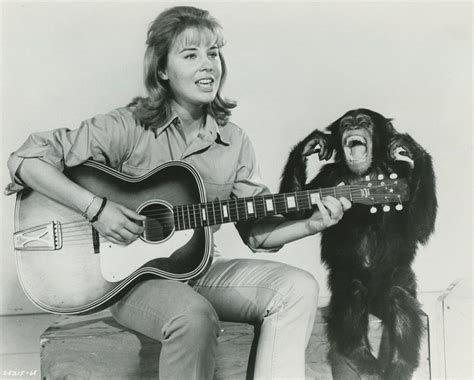 Judy the Chimpanzee