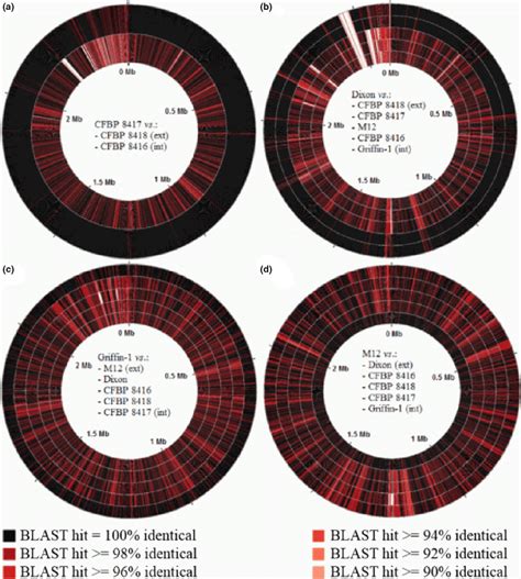 Pairwise comparison of genome sequences of French and American Xylella... | Download Scientific ...