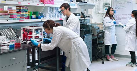 Ranking The Top 8 Universities For Biomedical Engineering - Ketojust