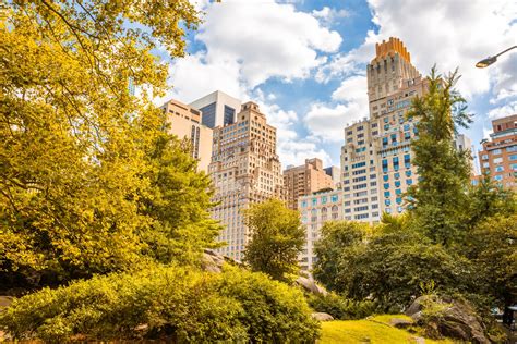 Central Park In New York Free Stock Photo - Public Domain Pictures