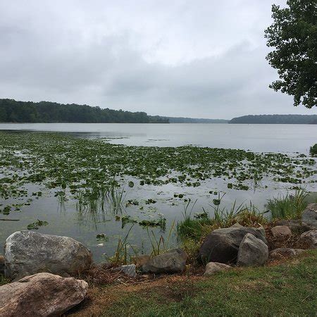 Kiser Lake State Park (Conover) - 2020 All You Need to Know BEFORE You Go (with Photos ...