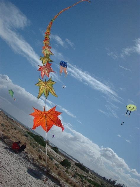 Different Kinds Of Kites - Illustrated By Our Kite Festival Experiences.