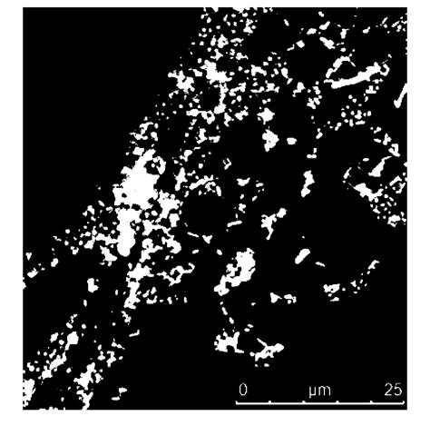 Quick detection method for in-situ fluorescent staining of livestock meat spoilage bacteria ...