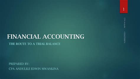 A Journey to Trial Balance, Accountants know😄 | by Andulile Edwin | Medium