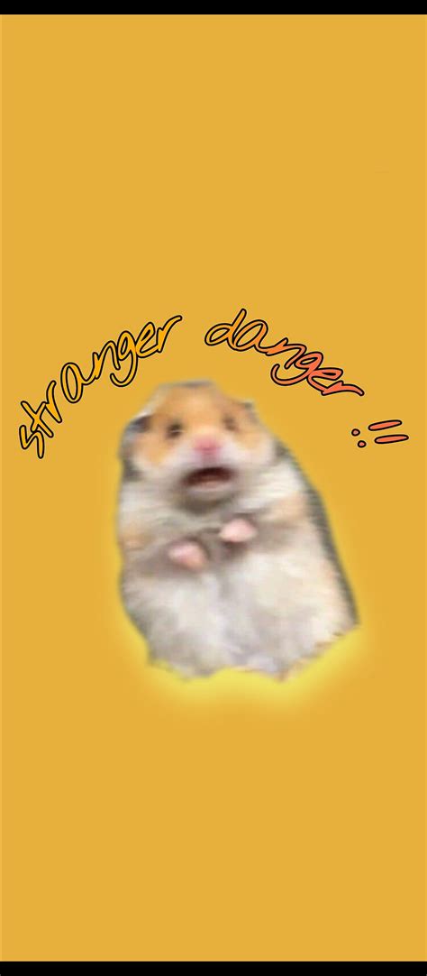 Hamster meme, funny HD phone wallpaper | Pxfuel