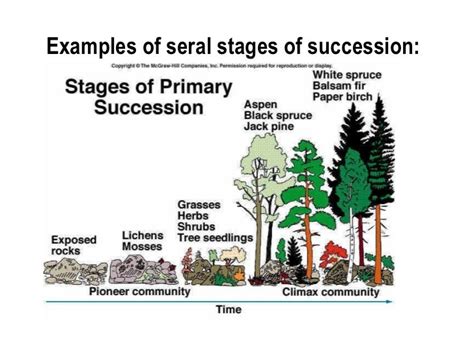 Succession 2009