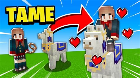 Minecraft Llama Carpet Designs | Review Home Co