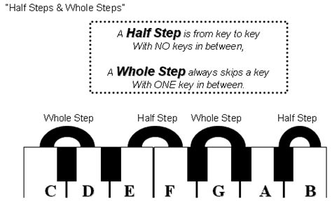 Whole steps and half steps for beginners - Hear and Play Music Learning Center