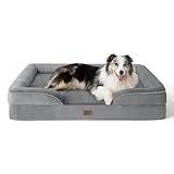 Best Orthopedic Dog Bed for Large Dogs: The Ultimate Comfort Solution - ApplianceMind