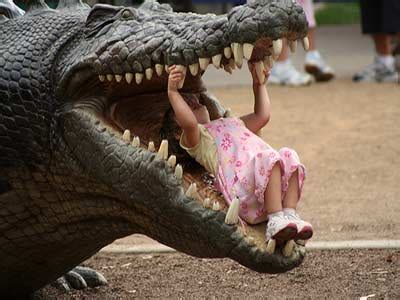 Funny Crocodile Child | Pet Gide and Photo