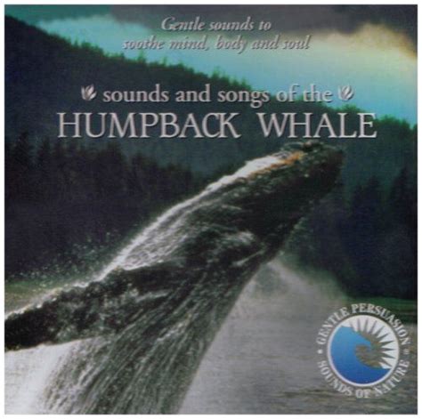 Sounds & Songs of the Humpback Whale « Holiday Adds | Whale, Sound song ...