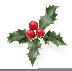 Ivy Christmas Clipart | Free Images at Clker.com - vector clip art ...