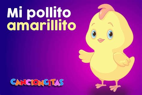 Mi pollito amarillito - Cancioncitas