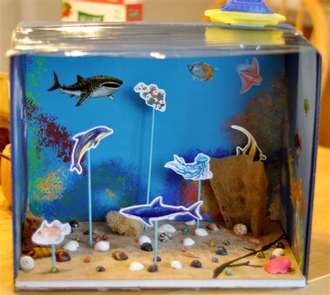 Habitat Diorama Project http://caziertm.blogspot.com/2011_11_01 ... | Ocean diorama, Diorama ...