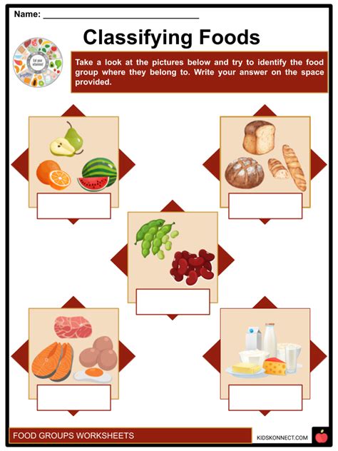 Food Groups Worksheets | Groups, Examples, Functions, Quantity