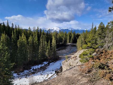 2023 Best 10 Mountain Biking Trails in Jasper | AllTrails