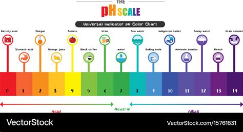 La Escala De Ph Diagrama De Carta De Color De Ph Indicador Universal | The Best Porn Website