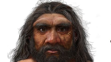 'Dragon Man': How the ‘new human species’ was found, preserved - Hindustan Times