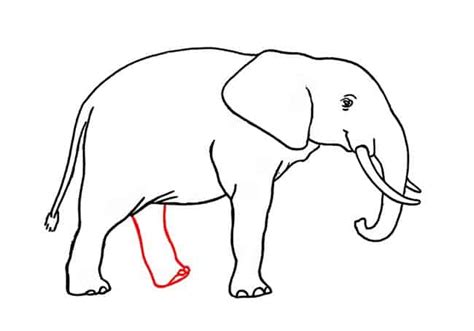 How to draw an African Elephant step by step Part 3 – Easy Animals 2 Draw