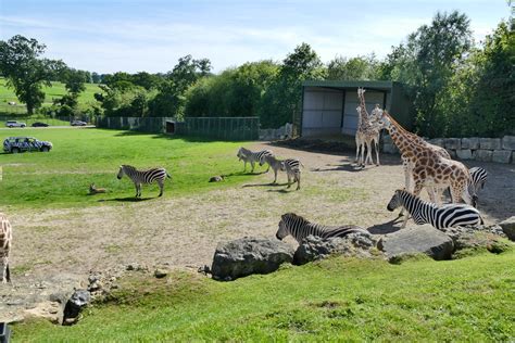 Longleat Safari Park | Longleat Safari Park | Joel Pagett | Flickr