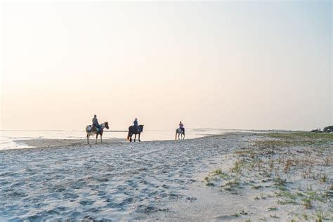 Horseback Riding - Cedar Island Ranch - NC