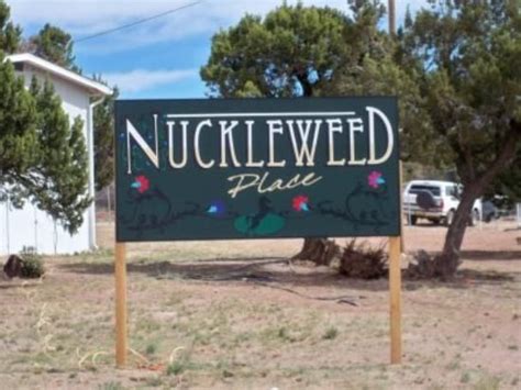 Nuckleweed restaurant in Alamogordo NM | Alamogordo new mexico, Alamogordo, New mexico